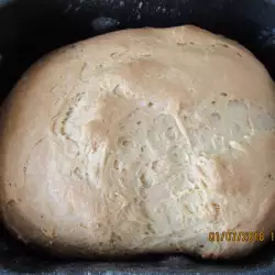 Pivski hleb u mini pekari