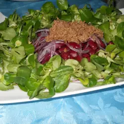 Salata sa ribom tunom, pasuljem i valerijanom
