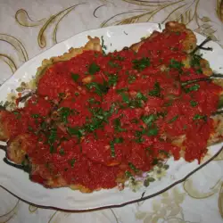 Pohovane paprike sa paradajz sosom