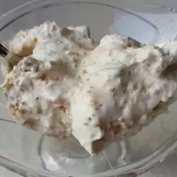 Dijetalan sladoled sa salepom