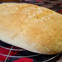 Moj domaći pekarski hleb