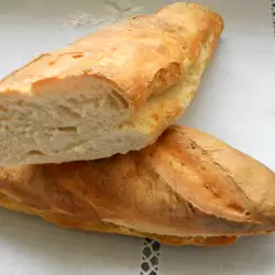 Mali francuski baget