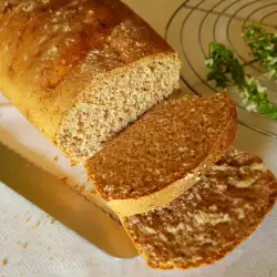 Brz hleb sa sve vrste brašna