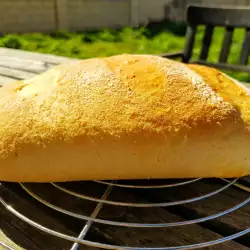 Hleb u kesi za pečenje