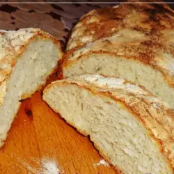 Hleb sa medom bez mešenja