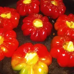 Punjene paradajz-paprike sa kačkavaljem