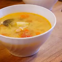 Supa od domaćeg pileta protiv gripa