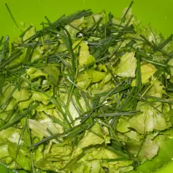 Salata od zelene salate i divljeg luka