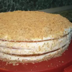 Torta sa medenim korama i kiselom pavlakom