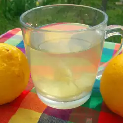 Alkalna voda sa limunom za zaštitu od virusa
