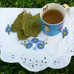 Čaj od listova trešnje za čišćenje tela