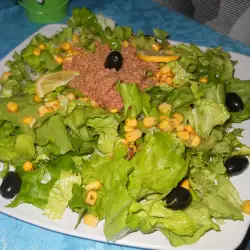 Zelena salata sa tunjevinom i maslinama