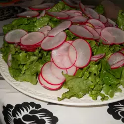 Moja zelena salata sa rotkvicama