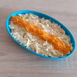 Kupus salata sa pavlakom