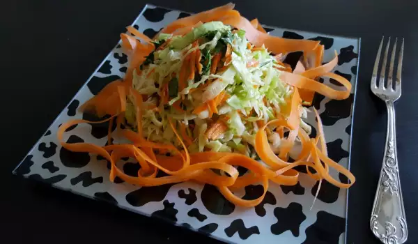 Klasična salata kupus i šargarepa