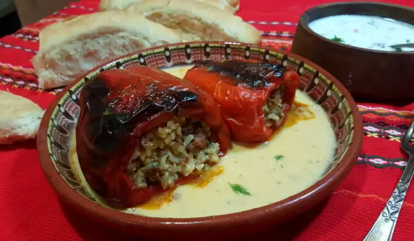 Paprike punjene mlevenim mesom i pirinčem u belom sosu