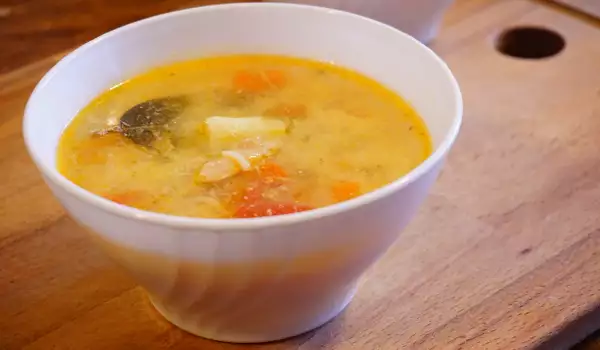 Supa od domaćeg pileta protiv gripa