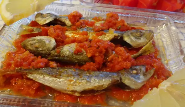 Sveža riba na roštilju sa paradajz sosom