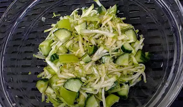 Salata sa rendanim tikvicama i celerom