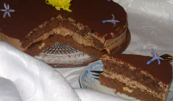 Torta od čokolade i kajsija