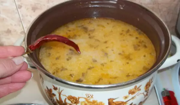 Supa s prazilukom i rasolom iz kupusa