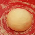 Brzo testo za prlenke