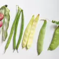 Nutritivne vrednosti pasulja i boranije