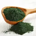 Šta je spirulina?