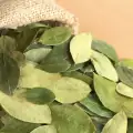 Koka