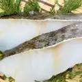 Bakalar