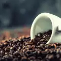 Kafa Robusta - šta treba da znamo