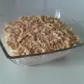 Desert Nema vremena