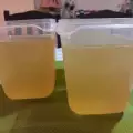 Domaći bujon od ćuretine