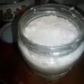 Domaći blagi ren
