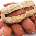 Kikiriki