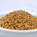 Piskavica