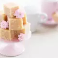 Da li je konzumiranje alve zdravo i u kojim količinama?