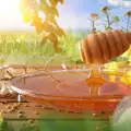 Zdravstvene koristi konzumacije meda