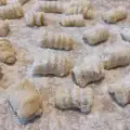 Njoke od krompira