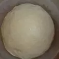 Ludo testo