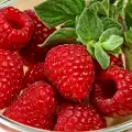 Maline