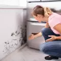Kako da se oslobodimo buđi po zidovima