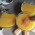 Mus od nektara i griza