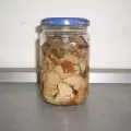 Pasterizovane pečurke lisičare
