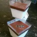 Lažna panakota