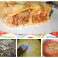 Testenina sa dve vrste sosa