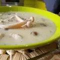 Ćureći frikase sa pečurkama i majčinom dušicom