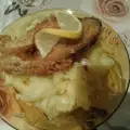 Šaran pohovan sa kornfleksom