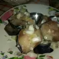 Riblje predjelo od skuše