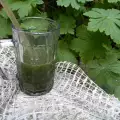 Jutarnji smuti za mršavljenje